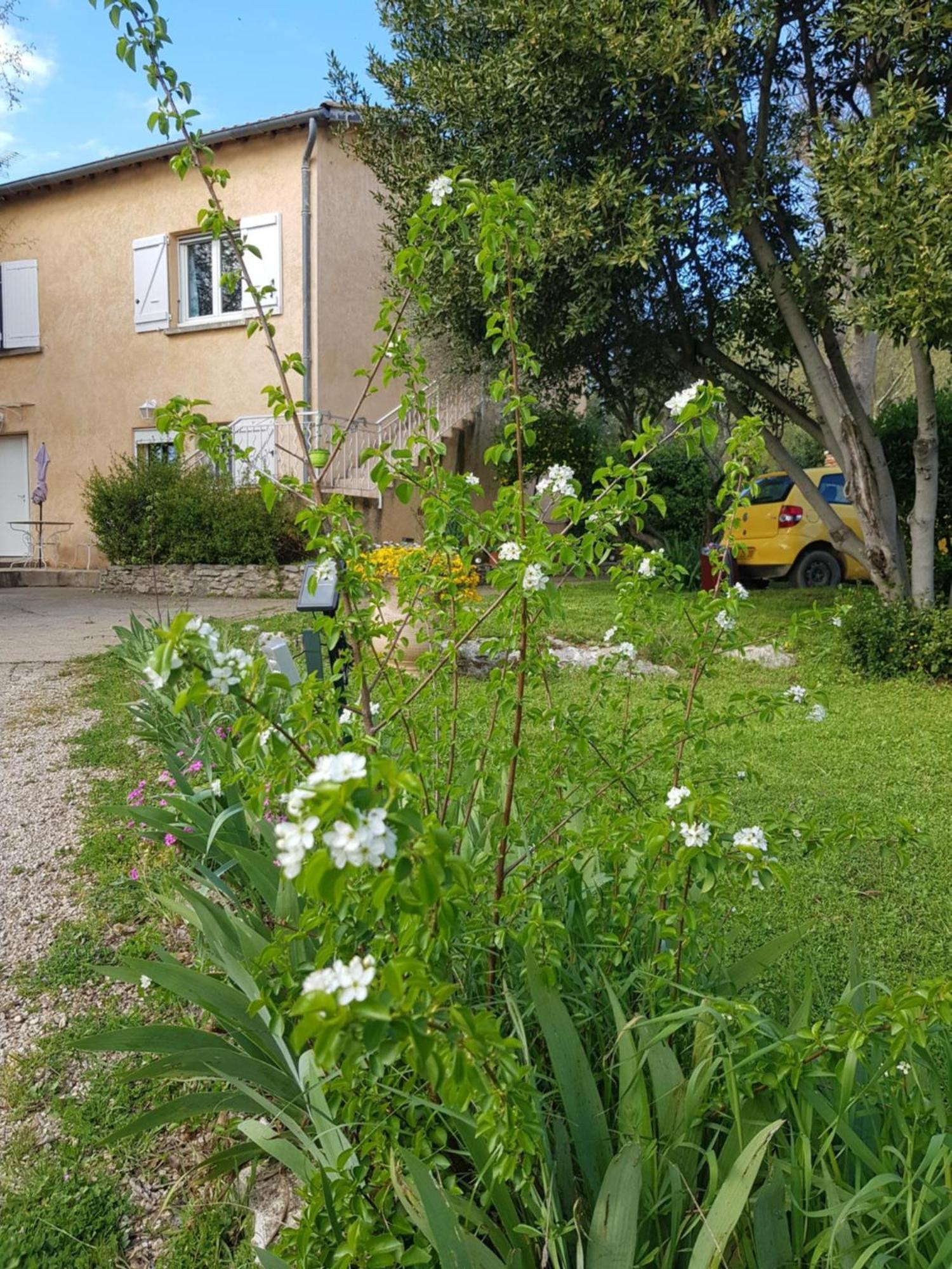 Appartement Cap Au Sud Sweet *