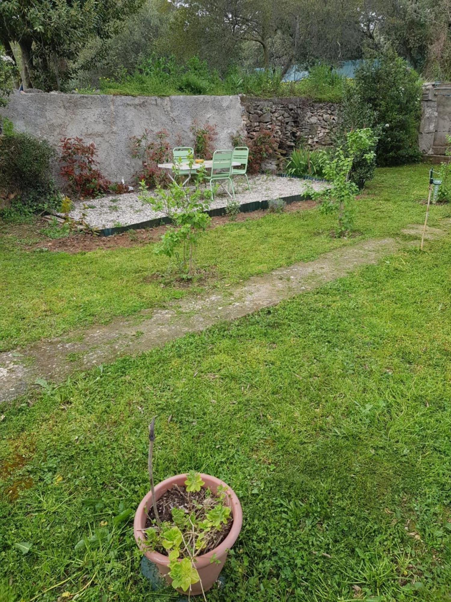 Cap Au Sud Sweet Appartement *