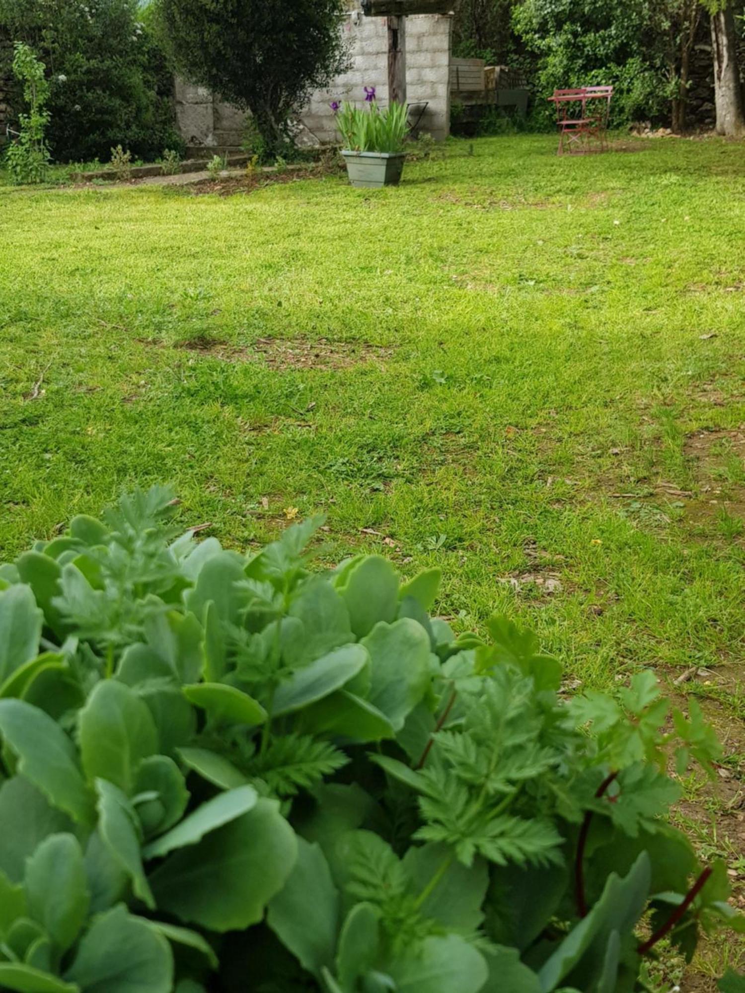 Appartement Cap Au Sud-grand Large 35m2 Nîmes