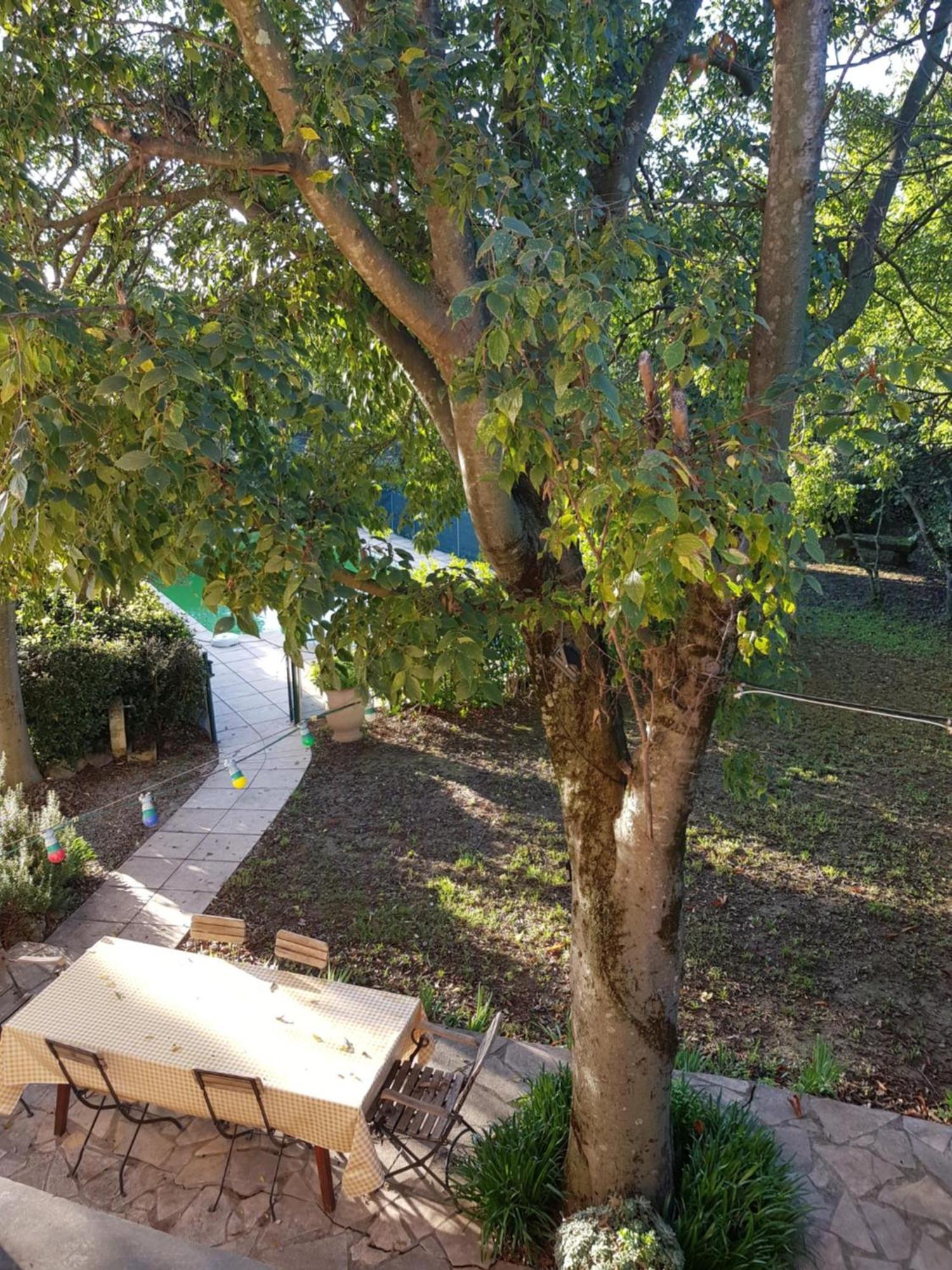 Appartement Cap Au Sud Sweet