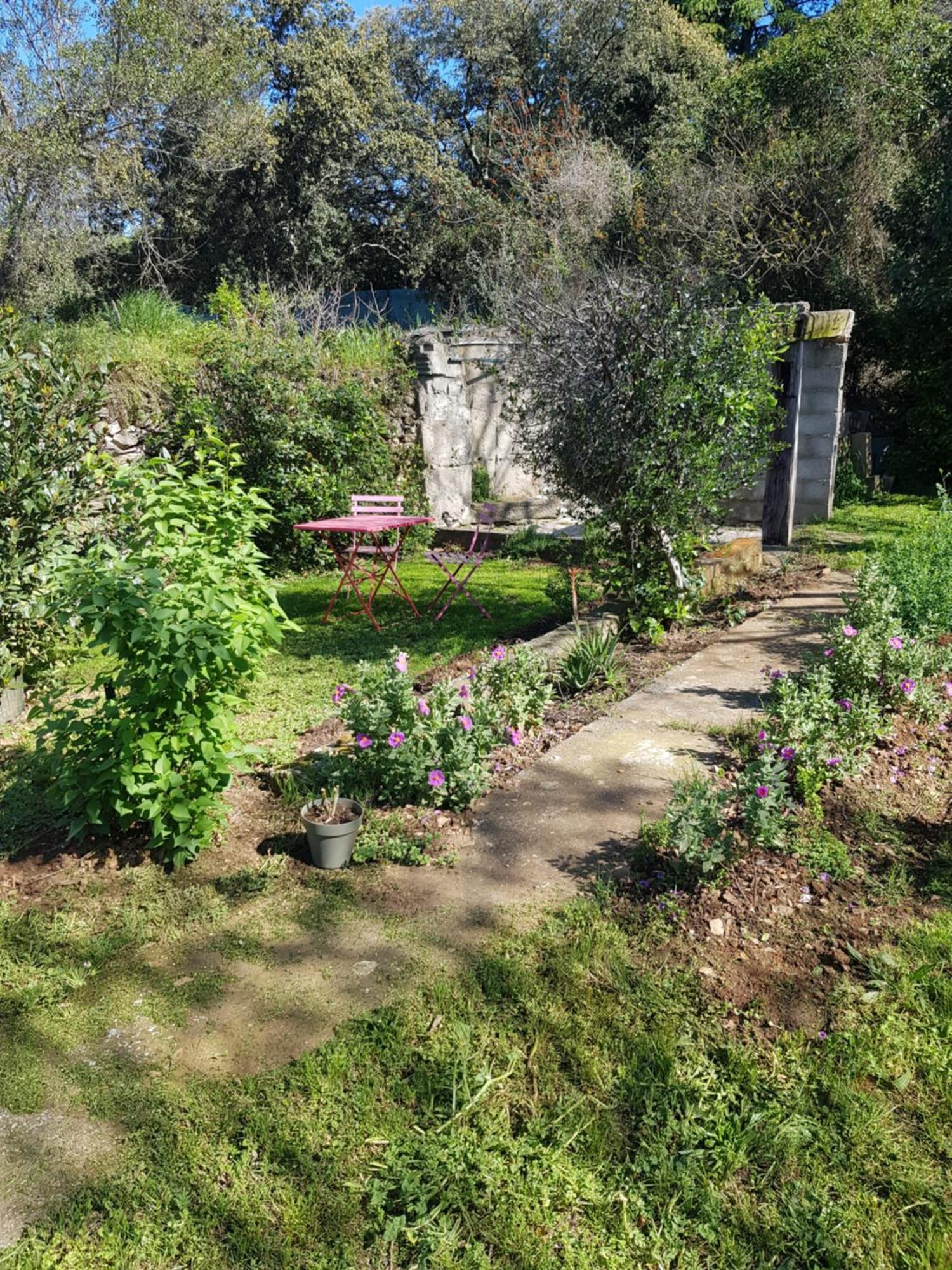 Cap Au Sud-grand Large 35m2 Appartement Nîmes